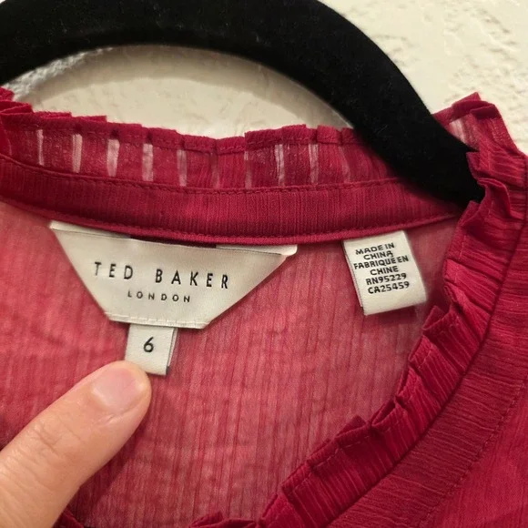 Ted Baker London Anastai Pleated Ruffle Mini Dress Red Sheer Chiffon Size 6 - Picture 3 of 11